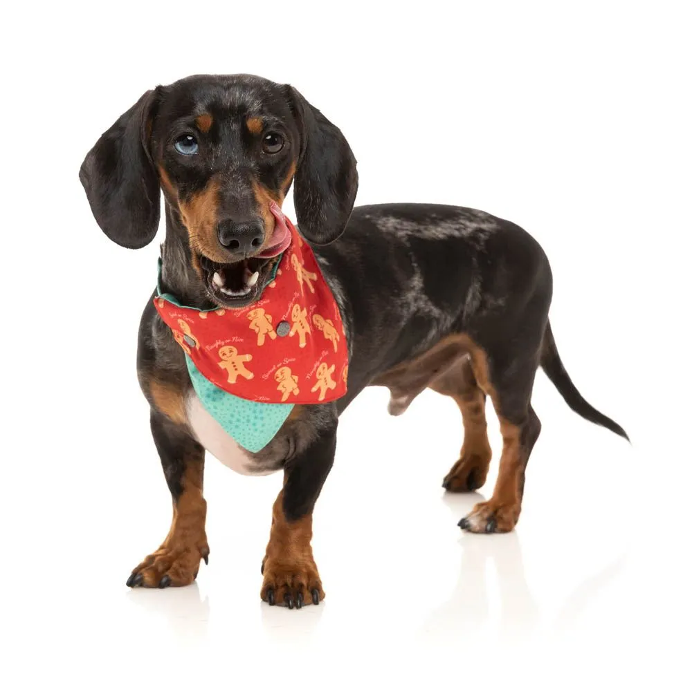 FuzzYard Holiday Bandana - Naughty Ginger