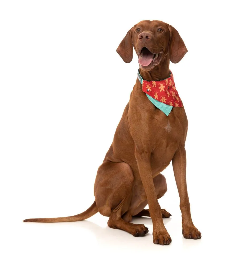 FuzzYard Holiday Bandana - Naughty Ginger